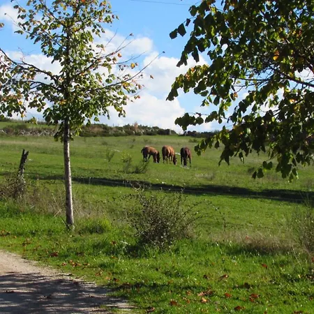 A La Ferme Au Coeur De L'aubrac בית כפרי *