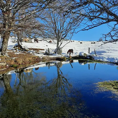 A La Ferme Au Coeur De L'aubrac *